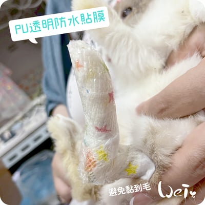 寵物用 PU透明防水貼膜 / PU防水膜 (包紮、胼胝、足底炎保護)7