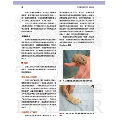 《書》野生動物臨床入門：恆溫動物(現貨)7