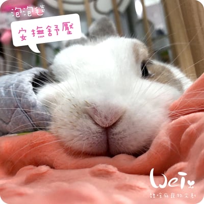 手作 - 泡泡小床毯2