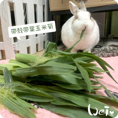 乾燥帶葉帶殼玉米筍11