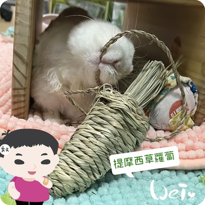 OXBOW提摩西草蘿蔔3