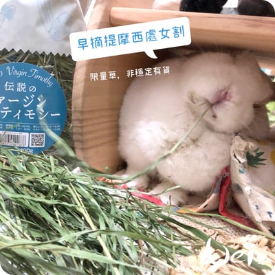 WOOLY高原的早摘提摩西 處女割12