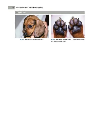 《書》小動物皮膚病學(4版)7