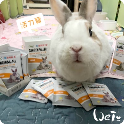 信元發育寶 小寵活力寶3