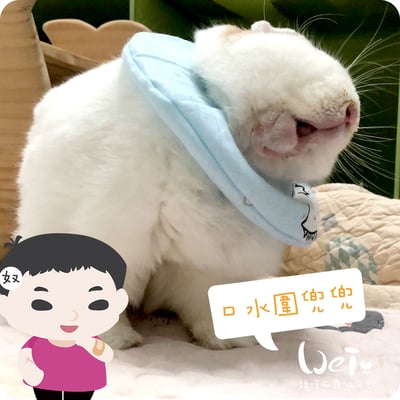 手作 - 寵物圍兜兜/紗布口水巾/軟頭套/老病照護灌食餵藥8