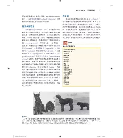 《書》小動物內科學，第六版（中冊）9