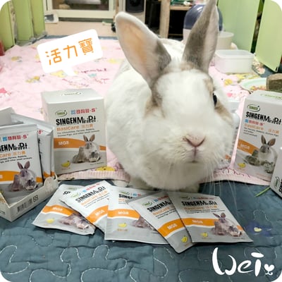 信元發育寶 小寵活力寶2