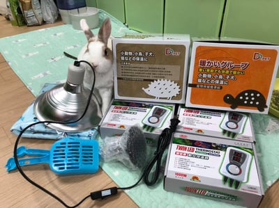 【新北租借】寵物陶瓷保溫燈+微電腦控溫器組合 說明 (老兔病兔、天竺鼠、幼犬幼貓刺蝟倉鼠)5