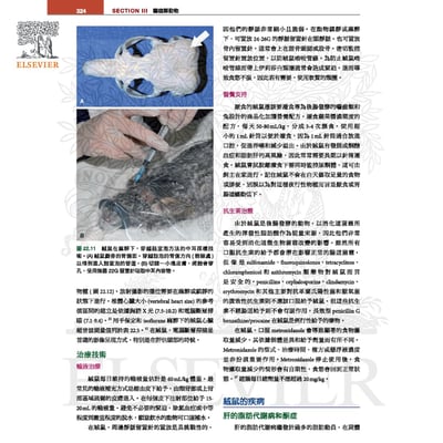 《書》貂、兔與囓齒類動物：臨床內外科，第四版(現貨)3