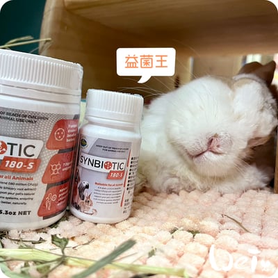 澳洲飛達發VETAFARM 益菌王4