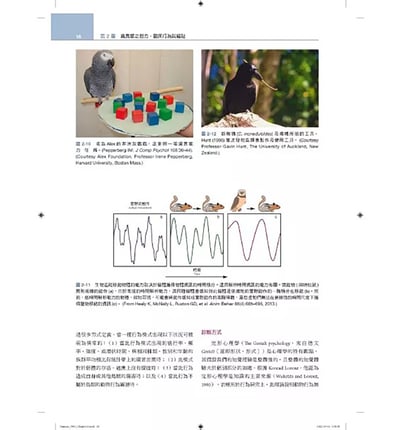 《書》禽鳥類醫學，第三版(現貨)12