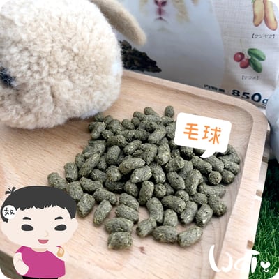 GEX彩食健美毛球3