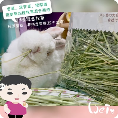 WOOLY高原的混合牧草(四種混合草)(本次貨櫃未到)18