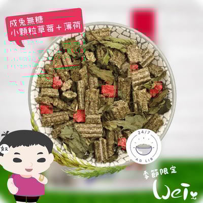 Bunny德國邦尼 夢想成兔無糖草莓＋薄荷配方(小顆三柱顆粒)4