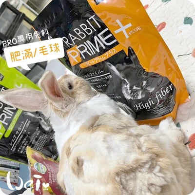 SANKO PRO專用兔料 肥滿/毛球4