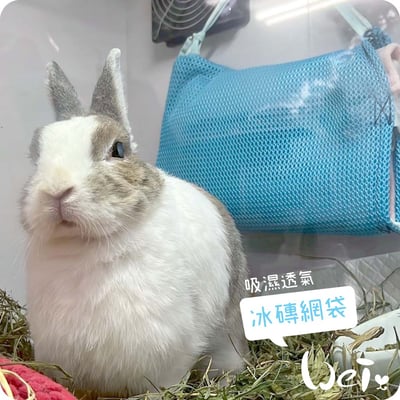 Dometic薄款長效冰磚CI-420G+手作吸濕透氣冰磚網袋2