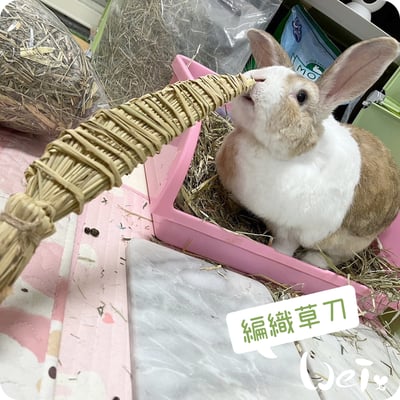 台灣草刀 (嘉義農夫純手工編織)1