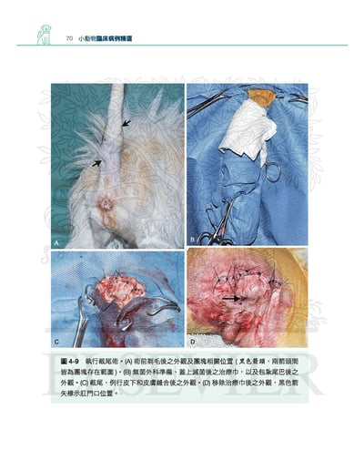 《書》小動物臨床病例精選，第一部3