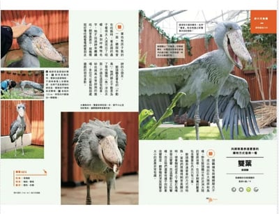 《書》日本動物園巡禮: 動物愛好者旅遊指南 動物園めぐり6