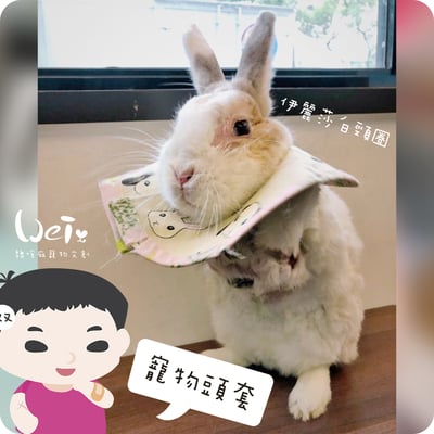 手作 - 寵物頭套/伊麗莎白頸圈/雷達 ( 結紮、術後、防舔咬、保護傷口用途)13