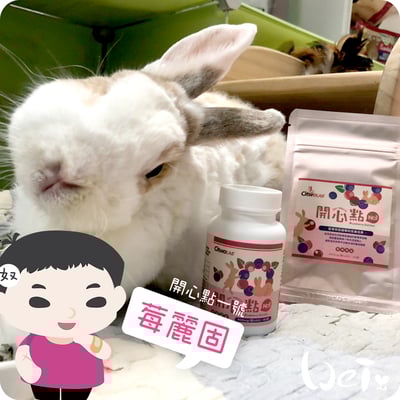 CI兔 Citwo LAB 莓麗固 (開心點1號)1