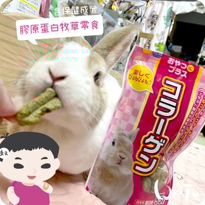 日本 HI-PET 膠原蛋白牧草零食1