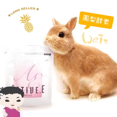 WOOLY 鳳梨酵素 ACTIVE.E2