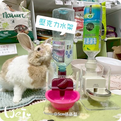 高低底盤 透明壓克力水碗架 / 飲水神器架 / 飲水器支架 /水架 (贈送 喝水小標語貼紙)1