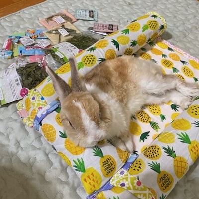 手作 - 我就靠你了! 透氣舒壓靠枕/枕頭14