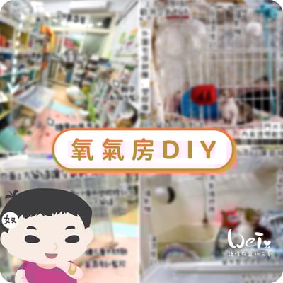 【寵物氧氣房注意事項】自製氧氣房DIY方法 - 圍片組裝/整理箱改造/籠子/外出 經驗分享1