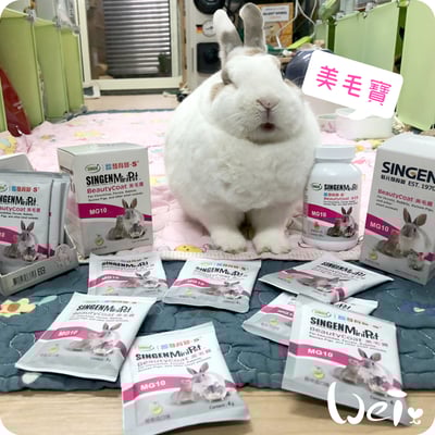 信元發育寶 小寵美毛寶3