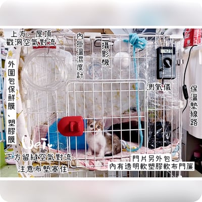 【寵物氧氣房注意事項】自製氧氣房DIY方法 - 圍片組裝/整理箱改造/籠子/外出 經驗分享4