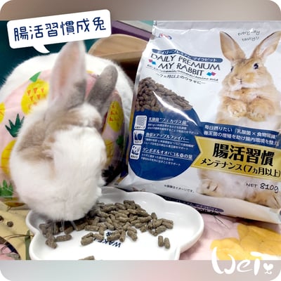 日本NPF恩貝護 腸活保健成兔(優益兔)2