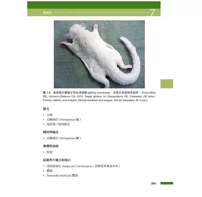 《書》特寵醫學速查手冊 第二版(現貨)16