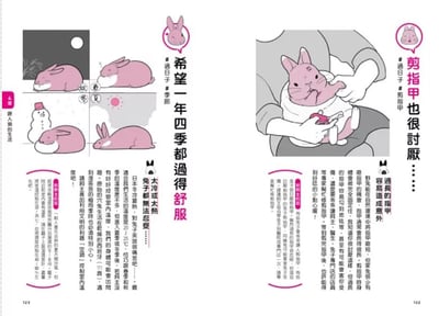 《書》兔兔跟你想的不一樣！：了解兔兔的130個真心話  飼い主さんに伝えたい130のこと うさぎがおしえるうさぎの本音4
