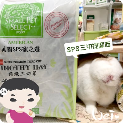 美國SPS寵之選 三切提摩西2