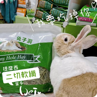 美國Rabbit Hole Hay兔子洞 二切SOFT軟纖葉多提摩西2