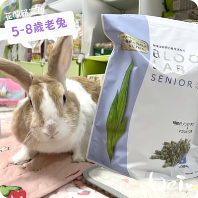 WOOLY花開研究所 5-8歲老兔飼料1