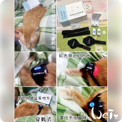 舒服樂 光舒緩穿戴 / 寵物居家三級雷射3