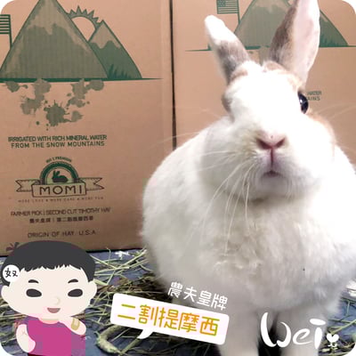 摩米MOMI 農夫皇牌 T2 二割提摩西3