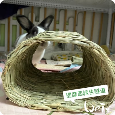 OXBOW提摩西綠色隧道1