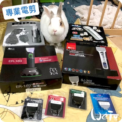 PiPe煙斗牌 寵物專業電剪SJ-368 (液晶顯示) /剃毛8