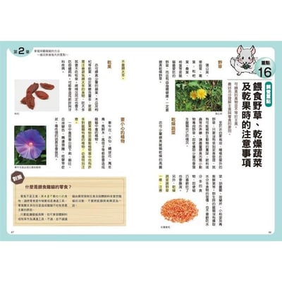 《書》第一次養龍貓就上手 チンチラ飼育バイブル 長く元気に暮らす50のポイント7