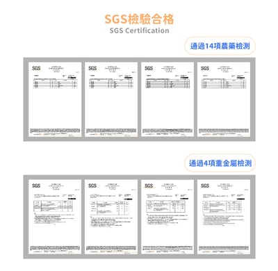 好可愛星球Lovely Planet天竺鼠益生菌 藍莓22