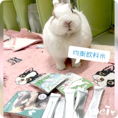 WOOLY 寵兔之均衡飲料水(本次貨櫃未到)2