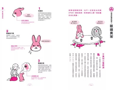 《書》如何陪兔兔走完最後一程  ウサギの看取りガイド4