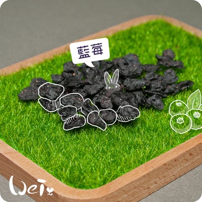 藍莓乾2