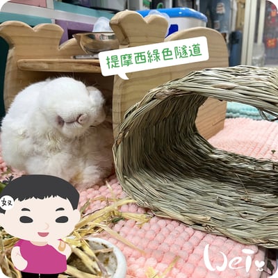 OXBOW提摩西綠色隧道2