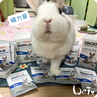 信元發育寶 小寵礦力寶1