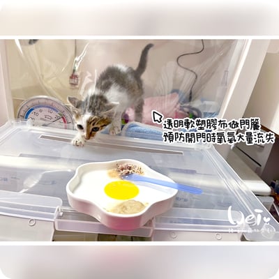 【寵物氧氣房注意事項】自製氧氣房DIY方法 - 圍片組裝/整理箱改造/籠子/外出 經驗分享7